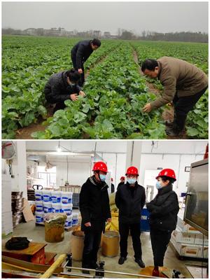 科技助農穩生產，服務下鄉促春耕——市農技推廣中心積極開展春耕備耕指導工作